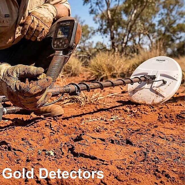 Man finding gold nugget with metal detector nokta magnetar gold detector